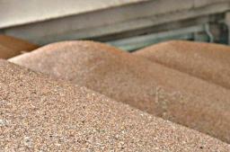 В Одесской области пограничники помешали незаконному экспорту более 7 тыс. тонн пшеницы